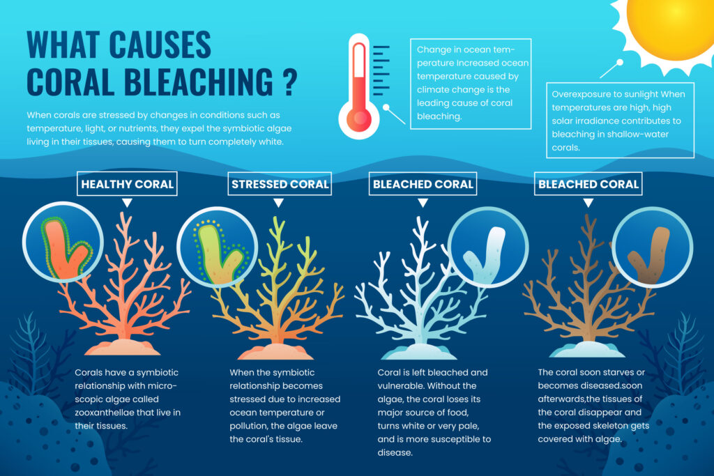 Climate Change Impact on Oceans