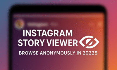 instagram story viewer