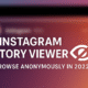 instagram story viewer