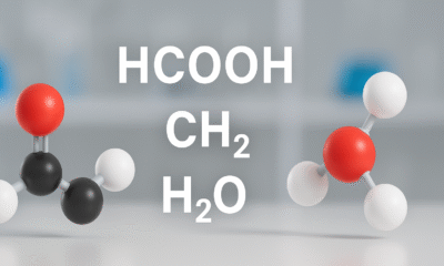 How HCOOH CH₂ H₂O Power Reactions in Organic Chemistry and Industry ,.hcooch ch2 h2o