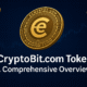 Illustration of eCryptoBit.com Tokens showing a golden ECB coin, digital wallet icon, and trading chart on a blockchain-themed background.